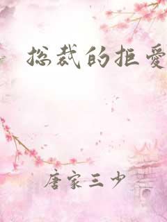 总裁的拒爱前妻