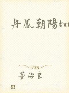 丹凤朝阳txt