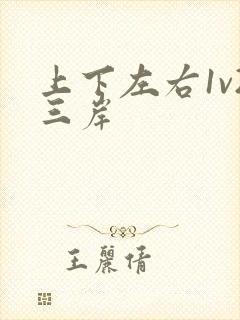 上下左右1v2三岸