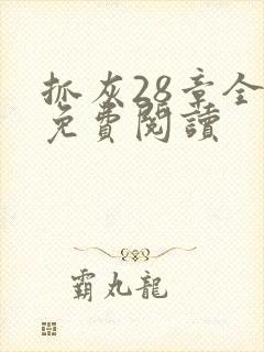 抓灰28章全部免费阅读