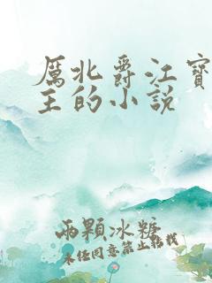 厉北爵江宝宝男主的小说