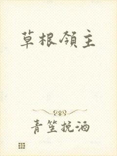 草根领主