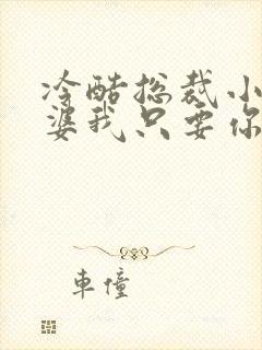 冷酷总裁小小老婆我只要你