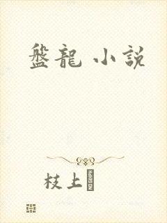 盘龙 小说