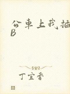 公车上我插上骚B