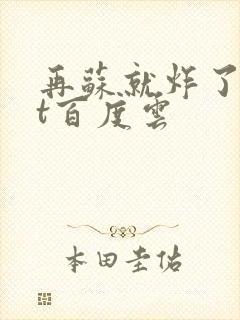 再苏就炸了txt百度云