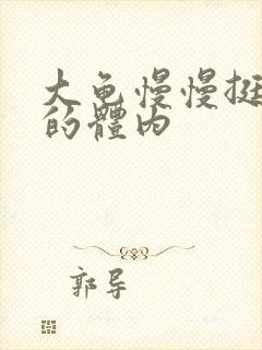 大龟慢慢挺进我的体内