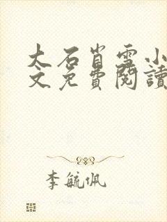 大石肖雪小说全文免费阅读