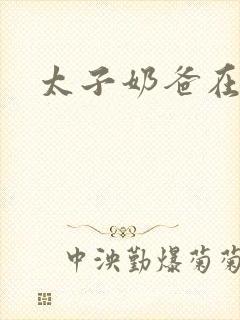 太子奶爸在都市