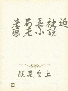 老局长被迫为奴恋老小说