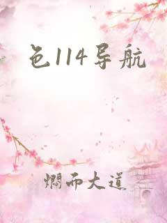 色114导航