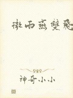 微雨燕双飞小说