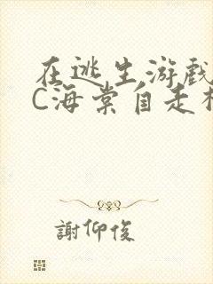 在逃生游戏里挨C海棠自走棋