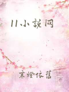 11小说网