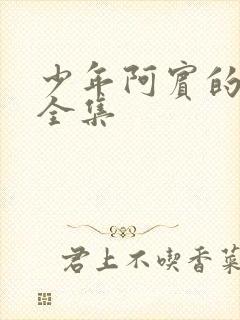 少年阿宾的故事全集