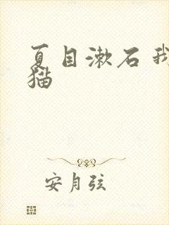 夏目漱石 我是猫