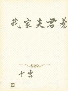 我家夫君惹不起