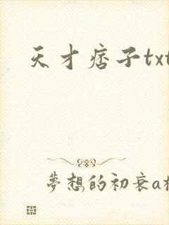 天才痞子txt
