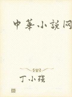 中华小说网
