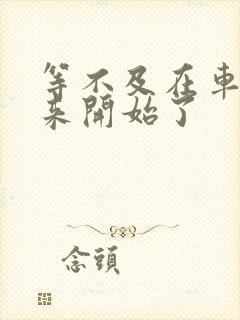 等不及在车里就来开始了