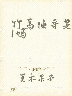 竹马他哥是1v1吗