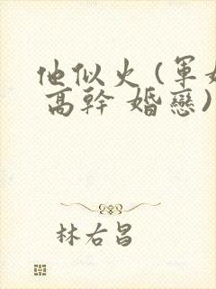 他似火 (军婚 高干 婚恋)小说免费阅读