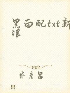 黑白配txt新浪
