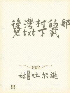 后湾村的那些事儿txt下载