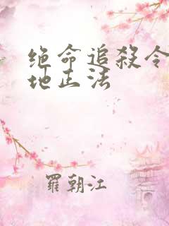 绝命追杀令2就地正法