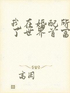 我在婚配所摇到了世界首富小说