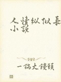 人情纵似长情月小说