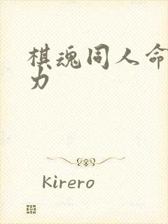 棋魂同人命运之力