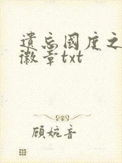 遗忘国度之神秘徽章txt