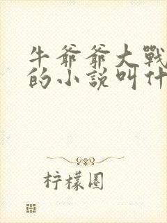 牛爷爷大战小丽的小说叫什么