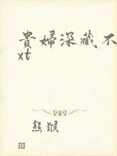 贵妇深藏不露txt