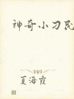 神奇小刁民