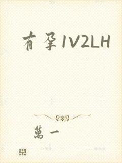 有孕1V2LH