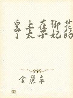 皇上在御花园c了太子妃的网剧