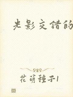 光影交错的时空