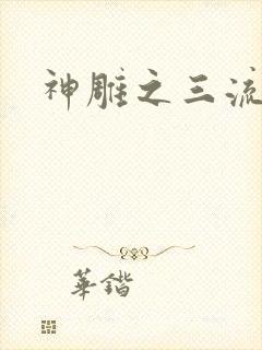 神雕之三流