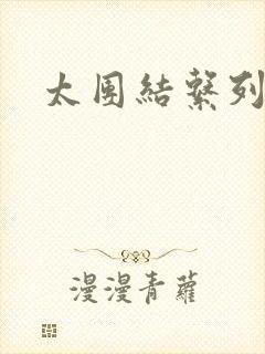 太团结系列