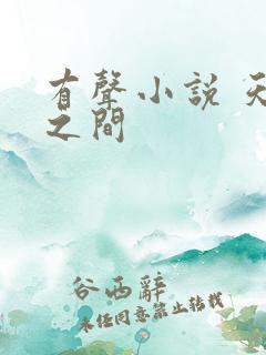 有声小说 天地之间