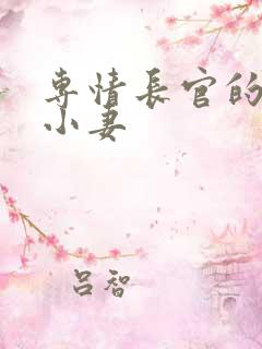 专情长官的天价小妻