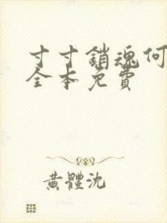 寸寸销魂何生祥全本免费