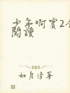 少年啊宾2全文阅读