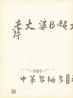 老大婆B超大图片