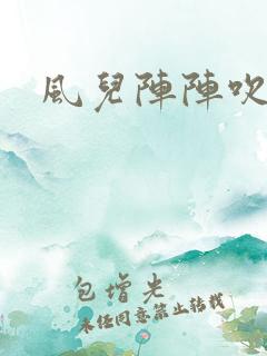 风儿阵阵吹