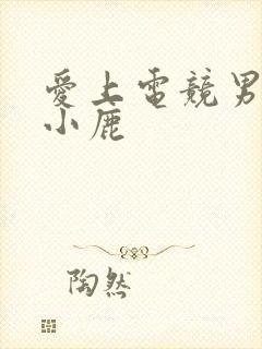 爱上电竞男神林小鹿