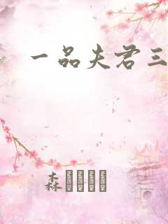 一品夫君三流妻