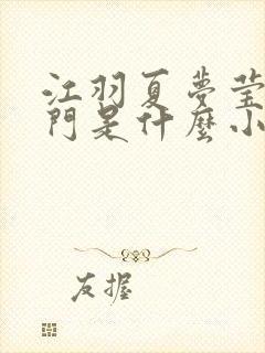 江羽夏梦莹神谕门是什么小说